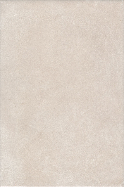 Александрия светлый матовый 20x30x0,69