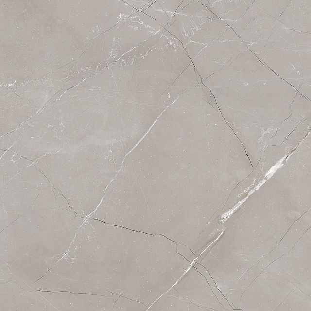 Vitrum grigio Керамогранит серый  матовый 60x60