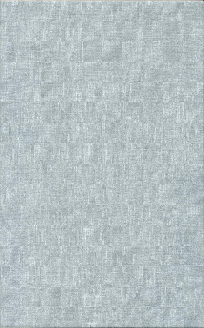 Борромео голубой матовый 25x40x0,8